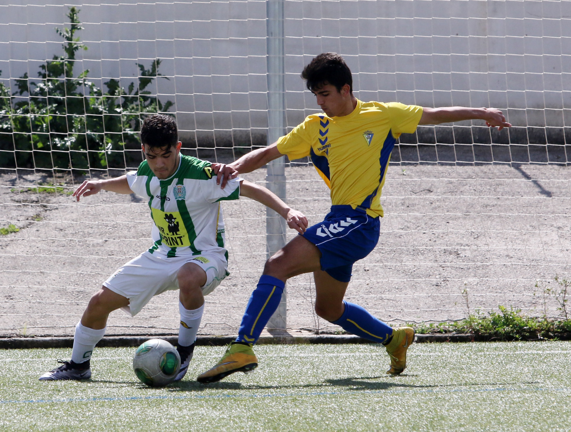 Fútbol: Córdoba-Cádiz. División de Honor Juvenil. Córdoba. cordoba 1.jpg